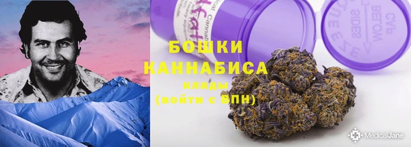ECSTASY Дмитров