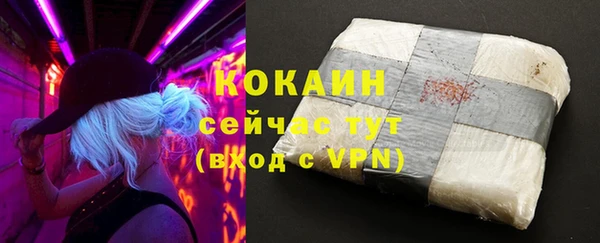 гидра Ельня