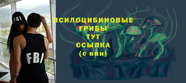 МДПВ Гусев
