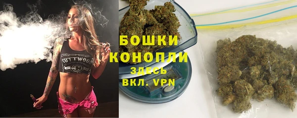 экстази Гусь-Хрустальный
