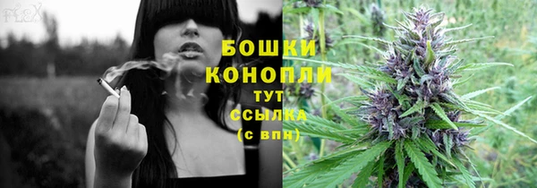 метадон Дмитриев