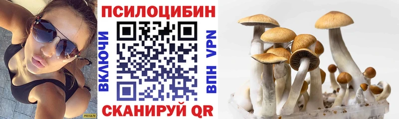 Псилоцибиновые грибы прущие грибы  Купить  Невьянск 